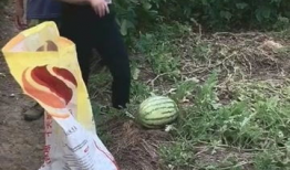 吃瓜爆料回家的路,揭秘明星回家的秘密通道